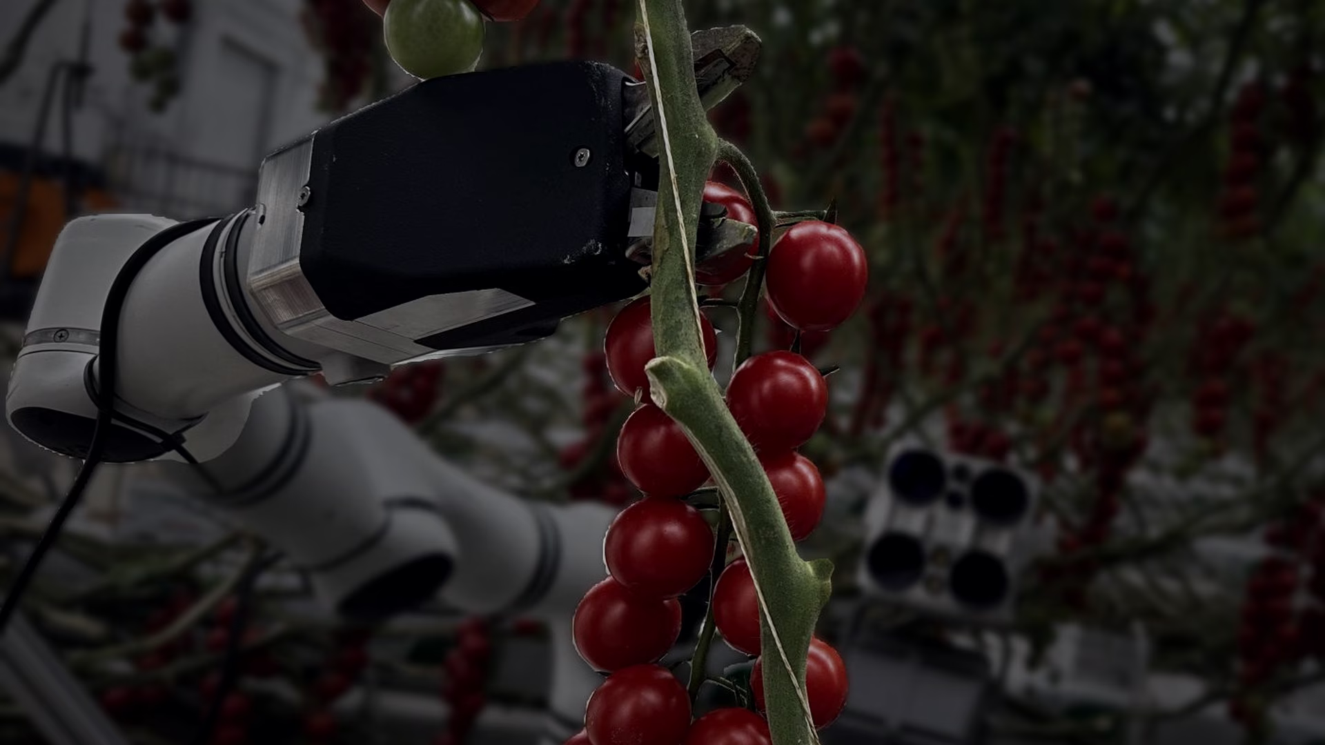 Sequential Gripper-Cutter