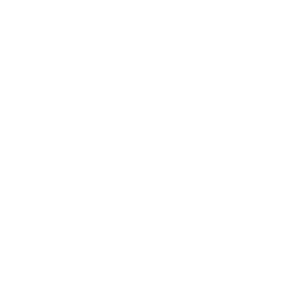 Bogazici University